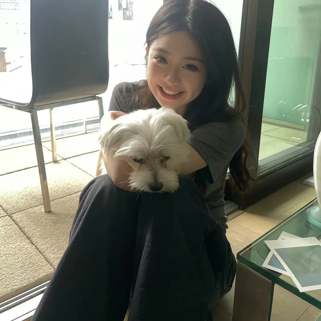 警犬巴打粤语